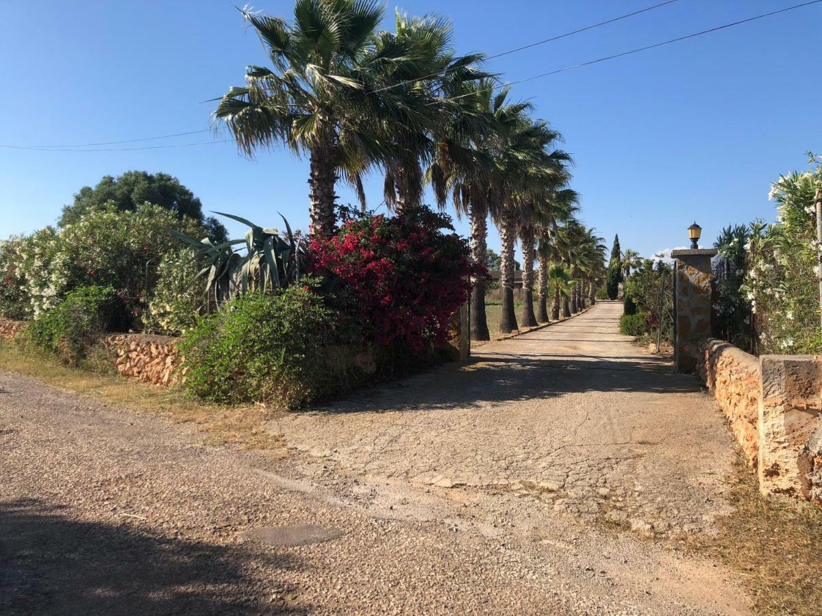 Casa David Holiday home *