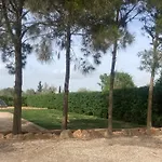 Casa David