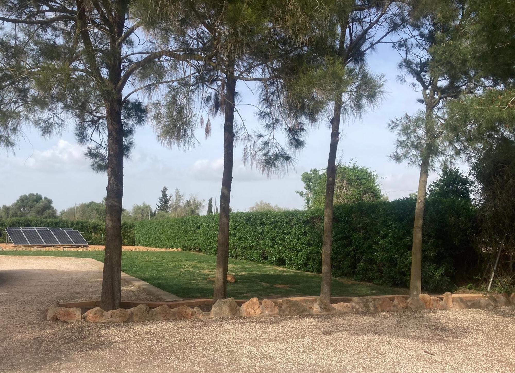 Feriehus Casa David Campos (Mallorca)
